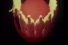 poster-14182-crest-dentifrice-goodbye-harold-68x45