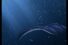 poster-14228-ariston-aqualtis-seaworld-68x45