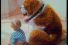 poster-14299-lotus-le-saint-bernard-68x45