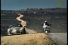 poster-14340-alta-vista-recidive-68x45