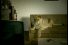 poster-14364-sky-discovery-channel-les-lions-68x45