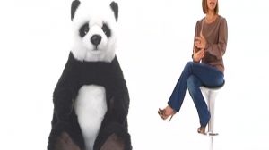 poster-14999-panda-cheese-2011-11-13-300x168