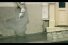 poster-15193-young-director-award-cfp-eshots-parodie-balls-68x45