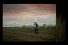 poster-15210-tooheys-extra-dry-harvested-68x45
