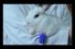 poster-15223-travelers-lucky-68x45
