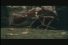 poster-15402-juicy-fruit-ant-68x45