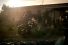 poster-15443-harley-davidson-motorcycles-affair-68x45