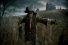 poster-15734-weetabix-scarecrow-68x45