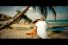 poster-15815-smooze-coconut-juice-68x45