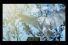 poster-15890-national-geographic-chaine-de-television-hd-owl-68x45