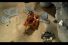 poster-16098-sportschau-neanderthals-68x45