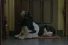 poster-16177-wehkamp-dogs-1-68x45