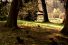 poster-16186-ykkosbonus-bonus-cards-squirrels-68x45