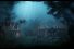 poster-16456-farmers-helppoint-sea-circus-68x45