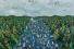 poster-16684-dic-world-of-colour-68x45