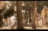 poster-16769-collective-de-la-viande-lambstock-68x45
