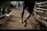 poster-16872-361-degrees-kabbadi-68x45