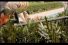 poster-16894-stihl-the-gardener-68x45