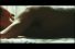 poster-17003-yamaguchi-chiropractic-delivery-68x45