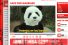 poster-17015-arnet-bamboo-68x45