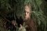poster-17057-max-steak-out-68x45