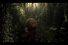 poster-17082-zubr-the-path-68x45