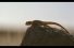 poster-17250-up-go-couches-desert-68x45