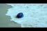 poster-17369-o2-turtles-68x45