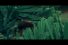 poster-18090-ipren-in-the-jungle-of-pain-68x45