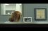 poster-18115-quiktrip-back-from-vacation-68x45