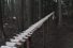 poster-18214-ntt-docomo-touch-wood-sh-08c-xylophone-68x45