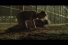 poster-18260-carmax-jailbreak-68x45