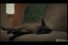poster-18265-dstv-pvr-digital-video-recorder-cat-68x45