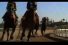 poster-18499-glaceau-vitaminwater-jockey-68x45