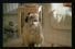 poster-18511-wall-s-balls-la-poubelle-68x45