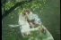 poster-18783-caprice-des-dieux-cupidon-68x45