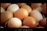 poster-19037-farm-frites-pommes-frites-68x45