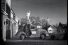poster-191-warburtons-dog-car-68x45