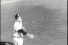 poster-19191-camel-baseball-players-68x45