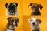 poster-19924-pedigree-dentastix-doggie-dentures-68x45