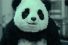 poster-20382-arab-dairy-panda-cheese-kitchen-68x45