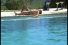 poster-20455-christian-dior-eau-sauvage-la-piscine-68x45