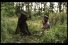 poster-20494-tipp-ex-a-hunter-plays-chifoumi-with-a-bear-68x45