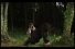 poster-20496-tipp-ex-a-hunter-farts-a-bear-68x45