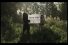 poster-20497-tipp-ex-error-404-request-not-found-68x45