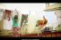 poster-20694-getxophoto-photo-festival-neighbours-68x45