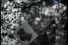 poster-2079-photo-espana-98-phe98-festival-internacional-de-fotografia-les-photos-68x45