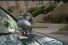 poster-20843-subaru-wrx-sti-poor-pigeon-68x45
