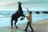 poster-20945-atg-v75-a-love-story-68x45