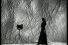 poster-2110-max-art-kane-la-photographe-68x45